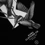 Kumu High Dive T-Shirt