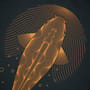 Kumu Ripples Tee T-Shirt Close Up 1