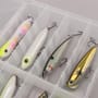 Discover Saltwater Predators Lure Box - Hard Body -8 Pieces 2