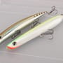 Discover Saltwater Predators Lure Box - Hard Body -8 Pieces 7