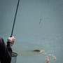 Matrix Foam Pellet Waggler Floats 12mm