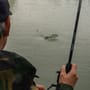 Matrix Aquos Ultra-C Waggler Rod