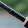 Matrix Ethos XRF Feeder Fishing Rod In Use 2