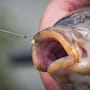 Matrix MXC-6 Medium Eyed Barbless Hooks 4