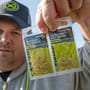 Matrix Super Soft Fishing Bait Bands 2