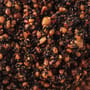 Munch Baits Hot Seeds