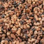 Munch Baits 3kg Bucket Roasted Nut 