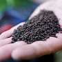 Munch Baits Salmon Micro Pellets 1.5kg 2