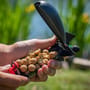 Advanta N-Fused Dairy Nut Shelf Life Boilies In Use 2