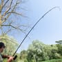 Nash Dwarf Cork Handle Rod Bend