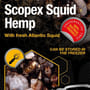 Nash Scopex Squid Fishing Hemp Packaging