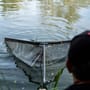 Advanta Pro Camo Mesh Landing Net 42" & 6ft Handle 1 Piece