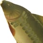 NGT Mirror Carp Pillow 70cm