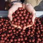 Nutrabaits Big Fish Mix Salmon Caviar & Black Pepper Soluble Fishing Boilies