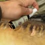 OMC Cyproguard Carp Care