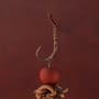 OMC Dazzlers Long Leg Aligner Brown Worm 4