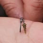 OMC Dazzlers Long Leg Aligner White Maggot 8