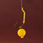 OMC Dazzlers Long Leg Aligner Yellow Corn 5