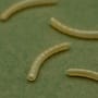 OMC Dazzlers Magoliner Fishing Rig Curve Close Up 2