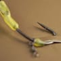 OMC Meta All-In-1 Fuzed Leader Lead Clip Cornaliner Spinner Rig Close Up 6