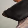 OMC Splash Camo Knight Puffer Jacket - 3 in 1 Family
