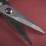 OMC Sunny Skizza Scissors Close Up 2
