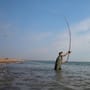 Penn Rampage II Surf Rod In Use 3