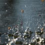 Premier Floats Clear Float Selection In Action