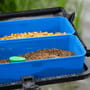 Preston 6 Pint Bait Tub In Use 6