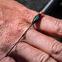 Preston F1 Dibber Pole Floats 3