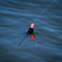 Preston F1 Dibber Pole Floats 4