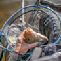 Preston Free Flow Landing Net In Use 1