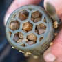 Preston ICS Bait Up Fishing Feeder In Use 6