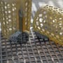 Preston ICS Bait Up Fishing Feeder 3
