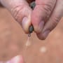 Preston ICS In-Line 360 Fishing Beads In Use 1