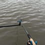 Preston Safe Method Rod Rest In Use 2