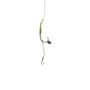PB Products R2G Clip SR Leader 90cm Shot on the Hook Overloaded Rig 3