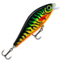 Hot Tiger Pike