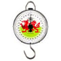 Reuben Heaton Standard Angling Flag Scales 60lb - Wales