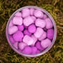 RG Baits Sugar Plum 'Pin Up' Wafters Inc Booster