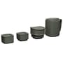 RidgeMonkey Fishing ThermoMug DLX Brew Set Green 2