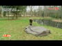 TF Gear Airflo Bivvy - Inflated in under a minute