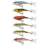 Salmo Rail Shad 6cm Sinking Lure