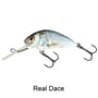 Salmo Hornet 4cm Floating Lure Real Dace