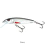 Salmo Minnow 6cm Floating Lure dace