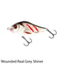 Salmo Slider 5cm Sinking Lure Wounded Real Grey Shiner