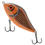 Copper Roach