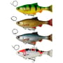 Savage Gear 4D Line Thru Pulse Tail Roach 18cm