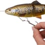 Savage Gear 4D Line Thru Trout Trace 3