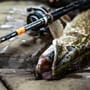 Savage Gear Medium Lure Outfit In Use 1